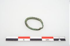 Foto von Bronzering (NHMW-PRAE-026654)
